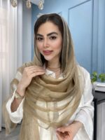 شال نخ حریر ابریشم ارگانزا وارداتی کد 1093 - Image 9
